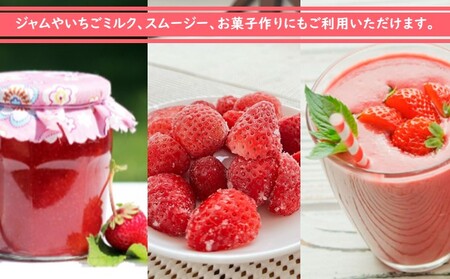 冷凍いちご　1kg（500g×2）国産 イチゴ ジャム スムージー お菓子づくり 果物 フルーツ 冷凍果物 冷凍フルーツ そのまま トッピング フローズンイチゴ ストロベリー 