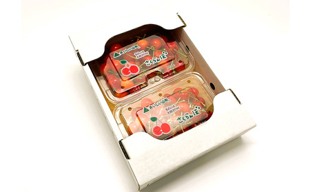 【定期便4回】イチオシフルーツ！やまがた宝箱A FY25-823