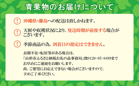 【定期便6回】山形の恵みB 【令和7年産先行予約】FU23-728 くだもの 果物 フルーツ 山形 山形県 山形市 2025年産