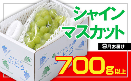 ☆フルーツ王国山形☆シャインマスカット 秀品 700g以上(1～2房)[9月お届け] 【令和8年産先行予約】FS23-733 くだもの 果物 フルーツ 山形 山形県 山形市 2026年産
