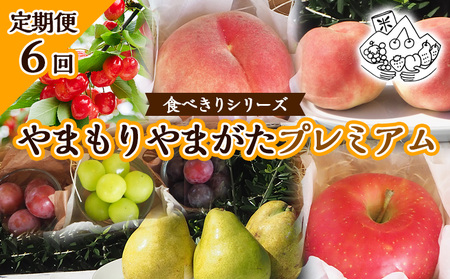 【定期便6回】★食べきりシリーズ★やまもりやまがたプレミアム 【令和7年産先行予約】FU23-735 くだもの 果物 フルーツ 山形 山形県 山形市 2025年産