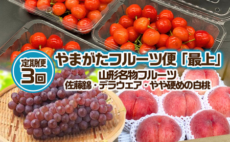 【定期便3回】やまがた フルーツ定期便 ”最上” 山形名物フルーツ [佐藤錦・デラウェア・やや硬め白桃] 【令和8年産先行予約】FS25-630 くだもの 果物 フルーツ 山形 山形県 山形市 2026年産