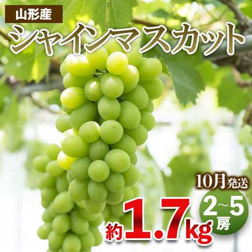 やまがたのぶどう シャインマスカット 秀品 約1.7kg(2～5房程度) [10月発送]　 【令和8年産先行予約】FS23-755 くだもの 果物 フルーツ 山形 山形県 山形市 2026年産