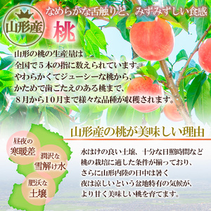 [数量限定]希少！山形市産【あか月姫】秀品 (柔らかくなる桃) 約2kg 【令和7年産先行予約】FS23-761 くだもの 果物 フルーツ 山形 山形県 山形市 2025年産