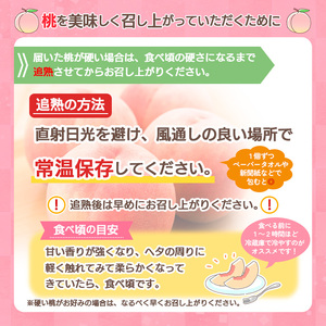 [数量限定]希少！山形市産【あか月姫】秀品 (柔らかくなる桃) 約2kg 【令和7年産先行予約】FS23-761 くだもの 果物 フルーツ 山形 山形県 山形市 2025年産