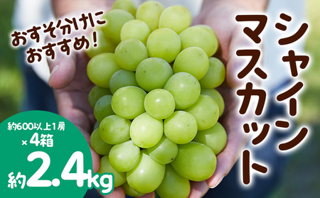 おすそ分けにおすすめ！シャインマスカット 秀品 約2.4kg(約600g1房×4箱) 【令和6年産先行予約】FS23-770