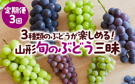 【定期便3回】3種類のぶどうが楽しめる！山形 旬のぶどう三昧 【令和8年産先行予約】FS25-659 くだもの 果物 フルーツ 山形 山形県 山形市 2026年産