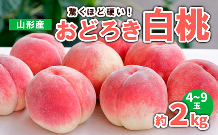 山形産 おどろき 白桃  秀 約2kg(4～9玉)【令和8年産先行予約】FS23-780 くだもの 果物 フルーツ 山形 山形県 山形市 2026年産