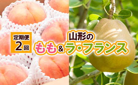 【定期便2回】山形の　もも＆ラ・フランス【令和8年産先行予約】FU23-797 くだもの 果物 フルーツ 山形 山形県 山形市 2026年産