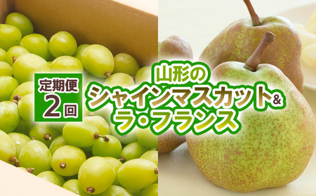 【定期便2回】山形の　シャインマスカット＆ラ・フランス【令和8年産先行予約】FU23-798 くだもの 果物 フルーツ 山形 山形県 山形市 2026年産
