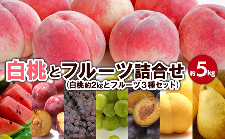 白桃とフルーツ詰合せ 約5kg 【令和8年産先行予約】FS23-801 くだもの 果物 フルーツ 山形 山形県 山形市 2026年産