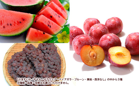白桃とフルーツ詰合せ 約5kg 【令和6年産先行予約】FS23-801