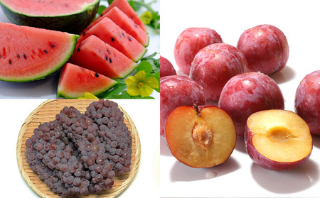 白桃とフルーツ詰合せ 約5kg 【令和8年産先行予約】FS23-801 くだもの 果物 フルーツ 山形 山形県 山形市 2026年産