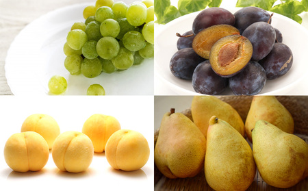 白桃とフルーツ詰合せ 約5kg 【令和8年産先行予約】FS23-801 くだもの 果物 フルーツ 山形 山形県 山形市 2026年産