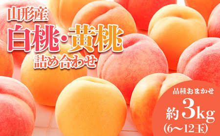 人気新品うさぎ様専用　冷凍シャインマスカット3キロ、白桃1キロ フルーツ