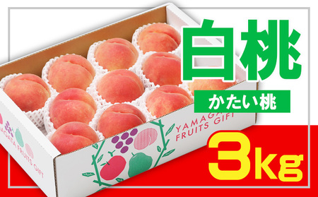 ☆フルーツ王国山形☆白桃 秀品 3kg [かたい桃] 【令和6年産先行予約