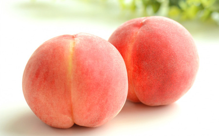 ☆フルーツ王国山形☆白桃 秀品 3kg [かたい桃]【令和8年産先行予約】FS23-824 くだもの 果物 フルーツ 山形 山形県 山形市 2026年産