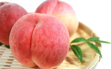 ☆フルーツ王国山形☆[ご家庭用] 白桃 〇秀品 3kg [やわらかくなる桃] 9月お届け【令和8年産先行予約】FS23-827 くだもの 果物 フルーツ 山形 山形県 山形市 2026年産