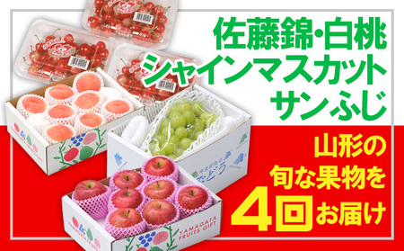【定期便4回】☆フルーツ王国山形☆佐藤錦・白桃・シャインマスカット・りんご 【令和7年産先行予約】FU23-940 くだもの 果物 フルーツ 山形 山形県 山形市 2025年産