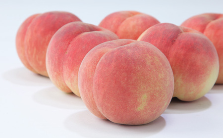 ☆フルーツ王国山形☆白桃 (やわらかくなる桃)・和梨食べ比べセット秀品 3kg【令和8年産先行予約】FS23-852 くだもの 果物 フルーツ 山形 山形県 山形市 2026年産