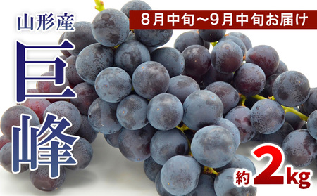 山形のぶどう 巨峰 秀品 約2kg(3～6房)[8月中旬～9月中旬お届け] 【令和7年産先行予約】FS24-651くだもの 果物 フルーツ 山形 山形県 山形市 2025年産