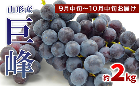 山形のぶどう 巨峰 秀品 約2kg(3～6房)[9月中旬～10月中旬お届け] 【令和7年産先行予約】FS24-652くだもの 果物 フルーツ 山形 山形県 山形市 2025年産