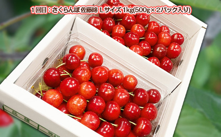 【定期便2回】さくらんぼ 味くらべ 1kg入り 【令和8年産先行予約】FS25-572