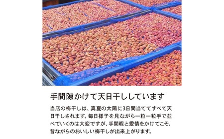 やまがた完熟 梅干し 小粒 1kg(200g×5袋) FY23-741