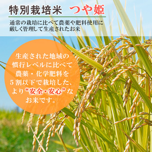 【定期便6回】特別栽培米 つや姫 2kg×6ヶ月(計12kg) FY23-750