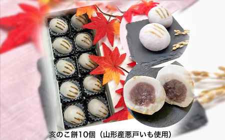 SDGs 悪戸いもの親芋使用！「亥のこ餅」10個 FY23-754