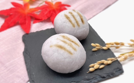 SDGs 悪戸いもの親芋使用！「亥のこ餅」10個 FY23-754