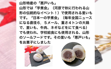 SDGs 悪戸いもの親芋使用！「亥のこ餅」10個 FY23-754