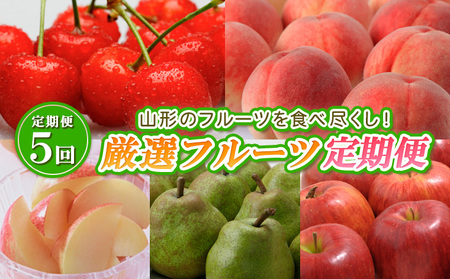 【定期便5回】山形のフルーツを食べ尽くし！厳選フルーツ定期便 【令和7年産先行予約】FS24-542くだもの 果物 フルーツ 山形 山形県 山形市 2025年産