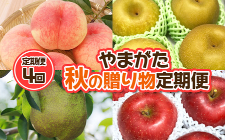 【定期便4回】やまがた 秋の贈り物定期便【令和8年産先行予約】FU23-877 くだもの 果物 フルーツ 山形 山形県 山形市 2026年産