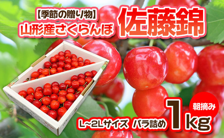 【季節の贈り物】さくらんぼ 佐藤錦 1kg バラ詰め L～2L 朝摘み【令和6年産先行予約】FS23-880