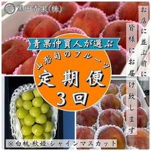 【定期便3回】青果仲買人が選ぶ！山形旬のフルーツ3選！[白桃・秋姫・シャインマスカット]【令和8年産先行予約】FS24-599 くだもの 果物 フルーツ 山形 山形県 山形市 2026年産