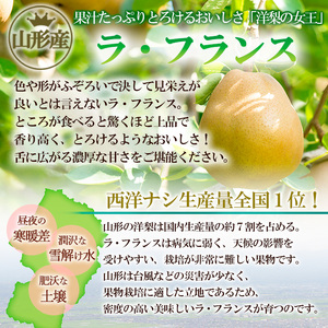 大玉ラフランス＆葉とらずふじりんごとジュース・ジャムセット FY22-031
