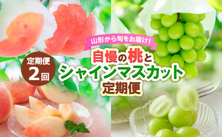 【定期便2回】山形から旬をお届け！自慢の桃とシャインマスカット定期便 【令和8年産先行予約】FS24-501 くだもの 果物 フルーツ 山形 山形県 山形市 2026年産
