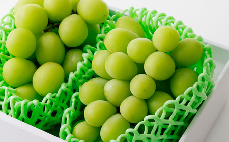 【定期便2回】山形から旬をお届け！自慢の桃とシャインマスカット定期便 【令和8年産先行予約】FS24-501 くだもの 果物 フルーツ 山形 山形県 山形市 2026年産