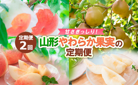 【定期便2回】甘さぎっしり！山形やわらか果実の定期便 【令和8年産先行予約】FS24-013 くだもの 果物 フルーツ 山形 山形県 山形市 2026年産