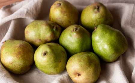 【定期便2回】甘さぎっしり！山形やわらか果実の定期便 【令和8年産先行予約】FS24-013 くだもの 果物 フルーツ 山形 山形県 山形市 2026年産