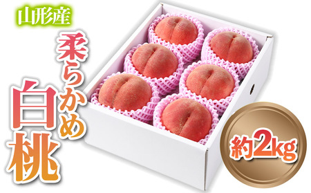 山形産 柔らかめ 「白桃」 秀品 約2kg (5玉～8玉)【令和8年産先行予約】FS24-081 くだもの 果物 フルーツ 山形 山形県 山形市 2026年産