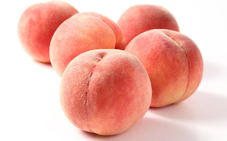 山形産 硬め 「白桃」 秀品 約2kg (5玉～8玉)【令和8年産先行予約】 FS24-083 くだもの 果物 フルーツ 山形 山形県 山形市 2026年産