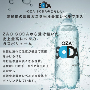 【定期便6回】OZA SODA 強炭酸水 500ml×48本×6か月 計288本[プレーン] FZ24-232