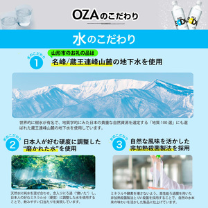 【定期便12回】OZA SODA 強炭酸水 500ml×24本×12か月 計288本[ラベルレス(プレーン)]  FZ24-278