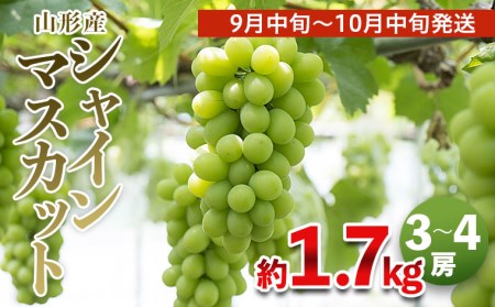 FS19-659 シャインマスカット3房~4房入り 1.7kg以上