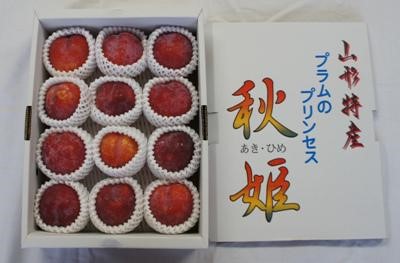 FY19-663 山形産秋姫すもも2kg