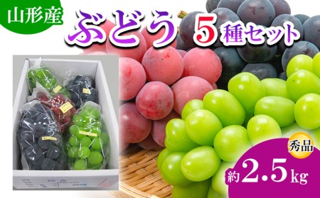 山形市産 ぶどう 5種セット 約2.5kg 【令和7年産先行予約】FU19-695 くだもの 果物 フルーツ 山形 山形県 山形市 2025年産