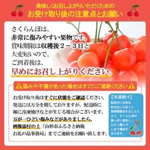 ★母の日★山形さくらんぼ 佐藤錦 300g  Lサイズスリーヴ化粧箱(5/5～5/11着) 【令和7年産先行予約】FU19-723 くだもの 果物 フルーツ 山形 山形県 山形市 2025年産