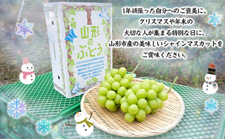 【期間限定】山形市産 冬出し シャインマスカット[12月発送] FY25-915